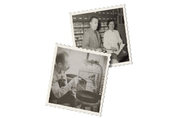 Foto 2