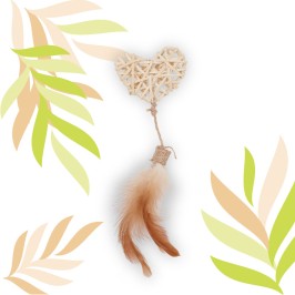 ETHI'CAT rákos srdce