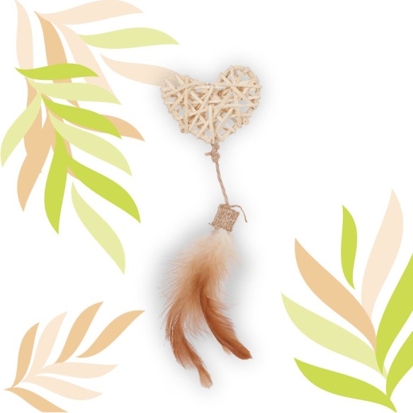 ETHI'CAT rákos srdce