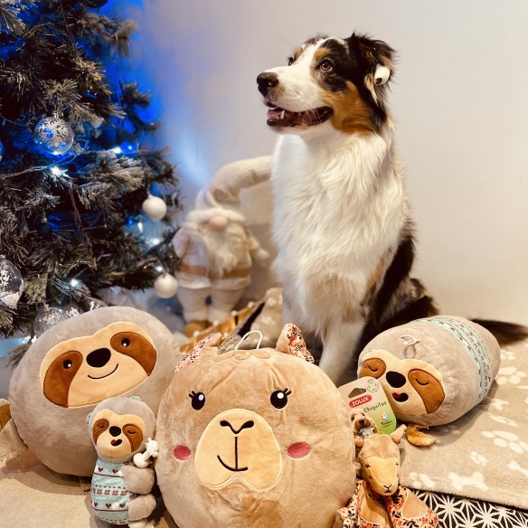 Fotografie komunity číslo 5