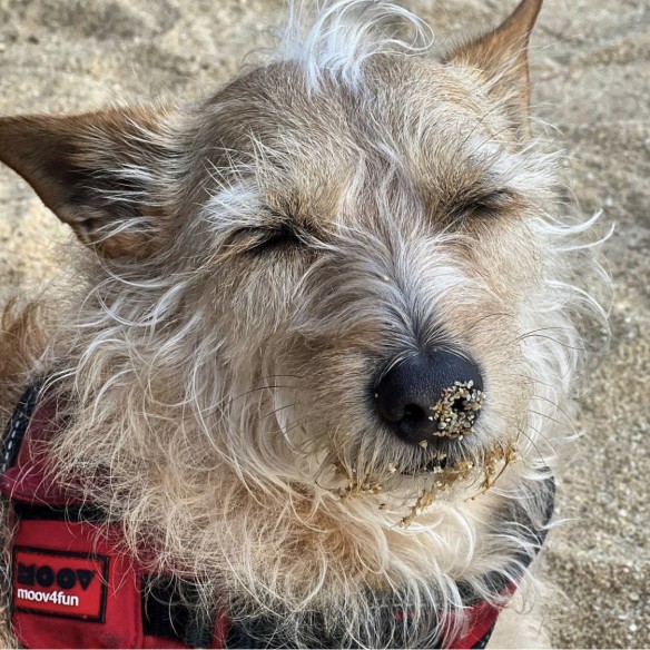 Fotografie komunity číslo 4