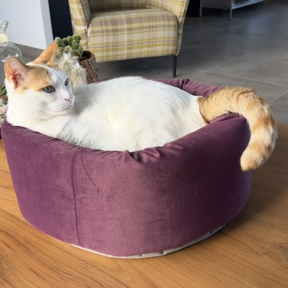 Fotografie komunity číslo 3