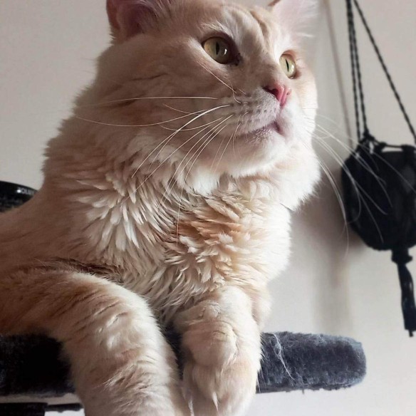 Fotografie komunity číslo 2