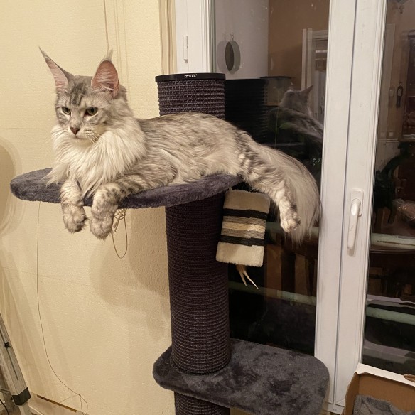 Fotografie komunity číslo 1