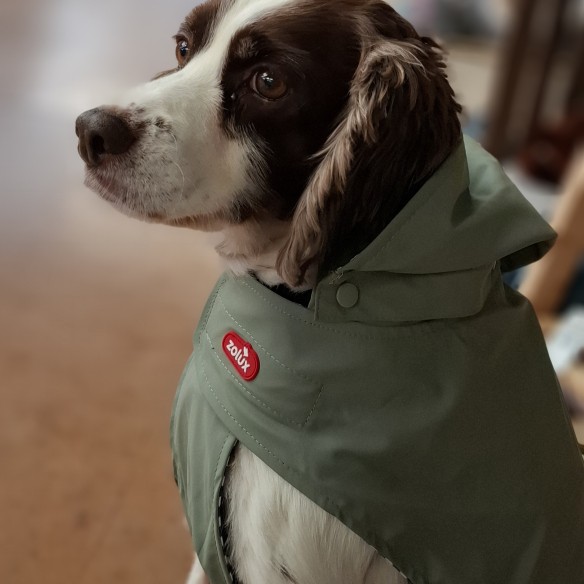 Fotografie komunity číslo 1