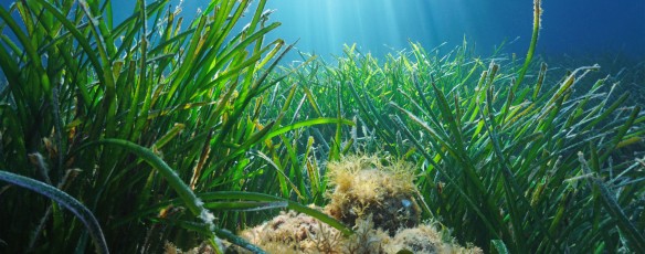 Vytvořte si svůj vodní vesmír!