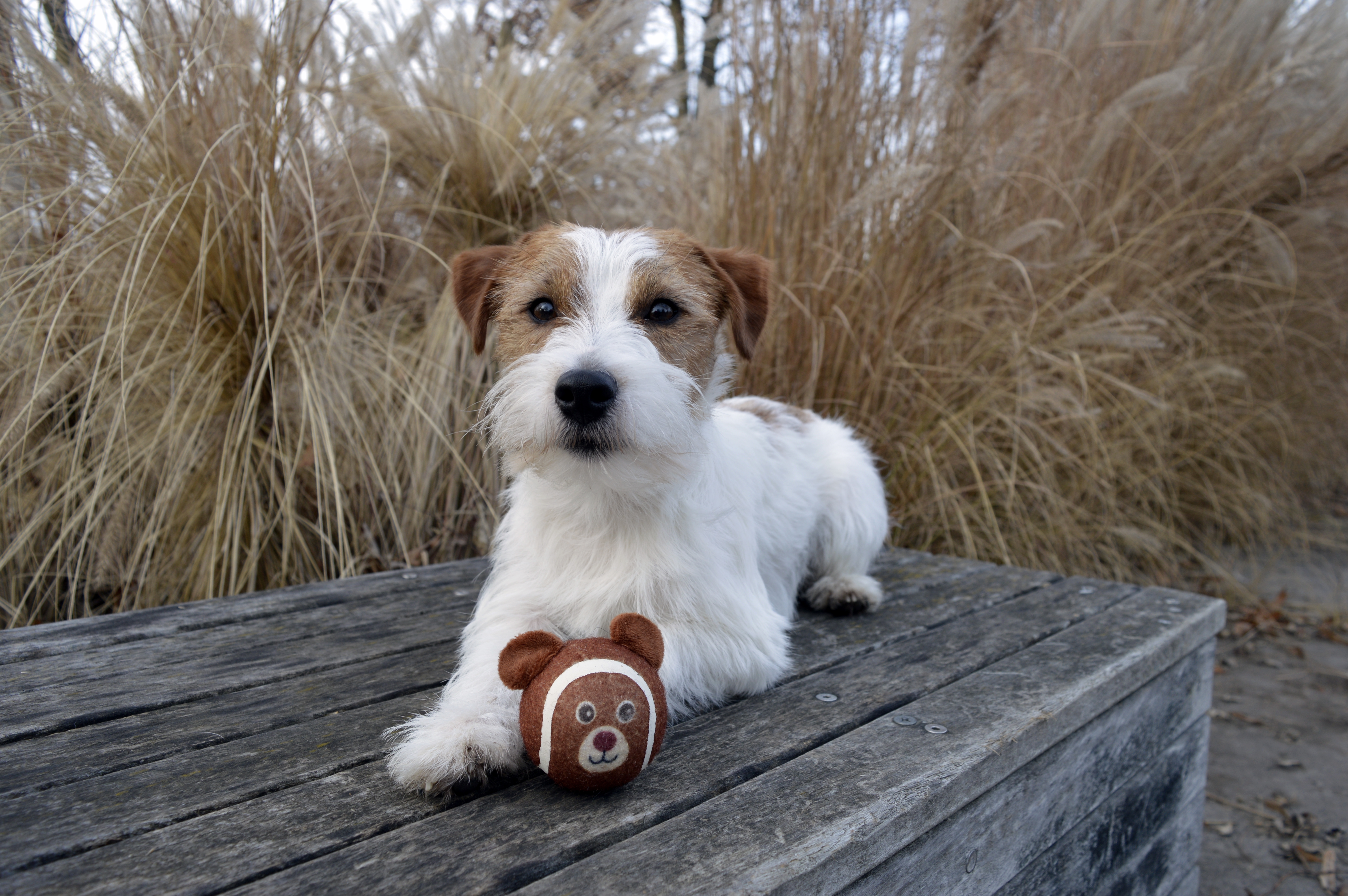 Fotografie komunity číslo 288