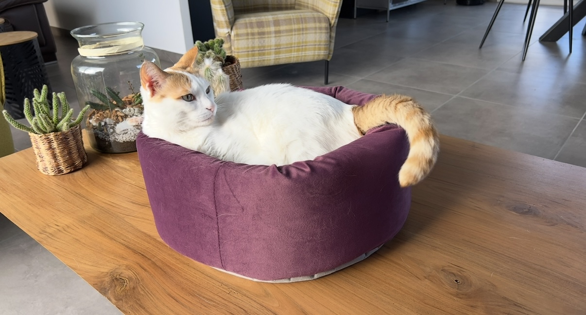 Fotografie komunity číslo 289