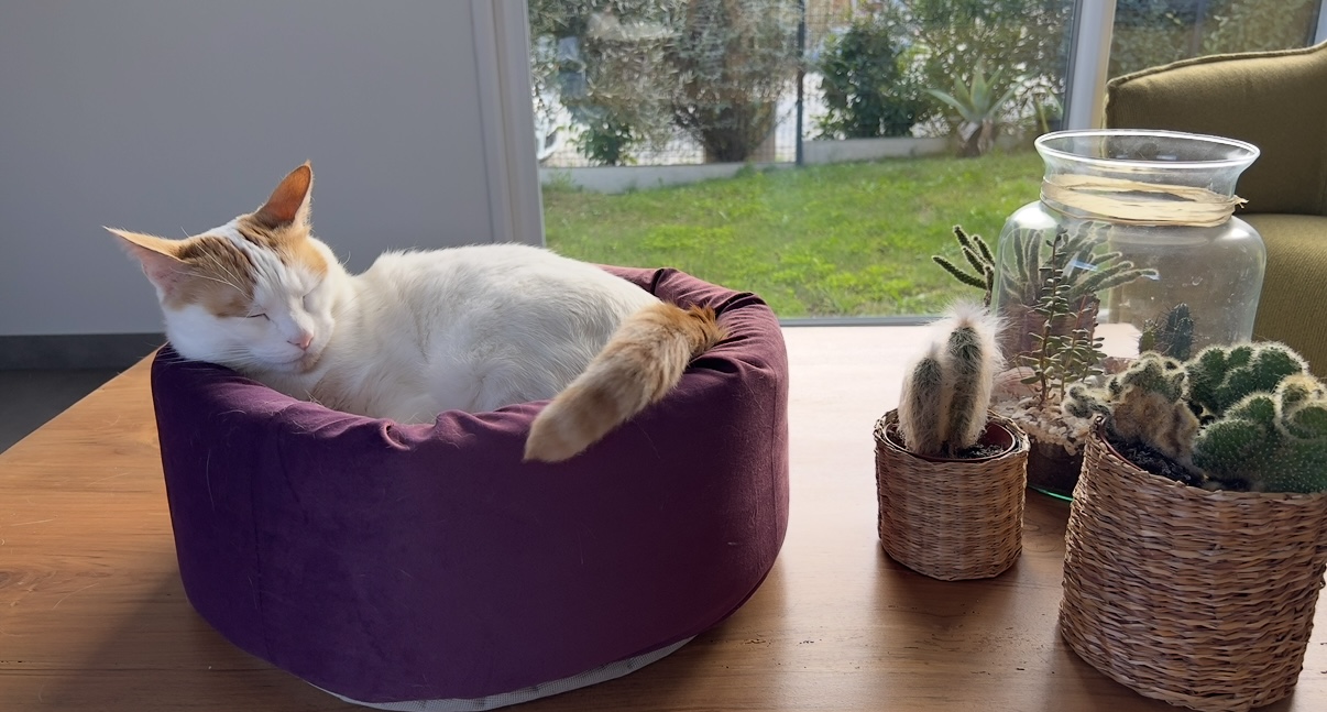 Fotografie komunity číslo 290