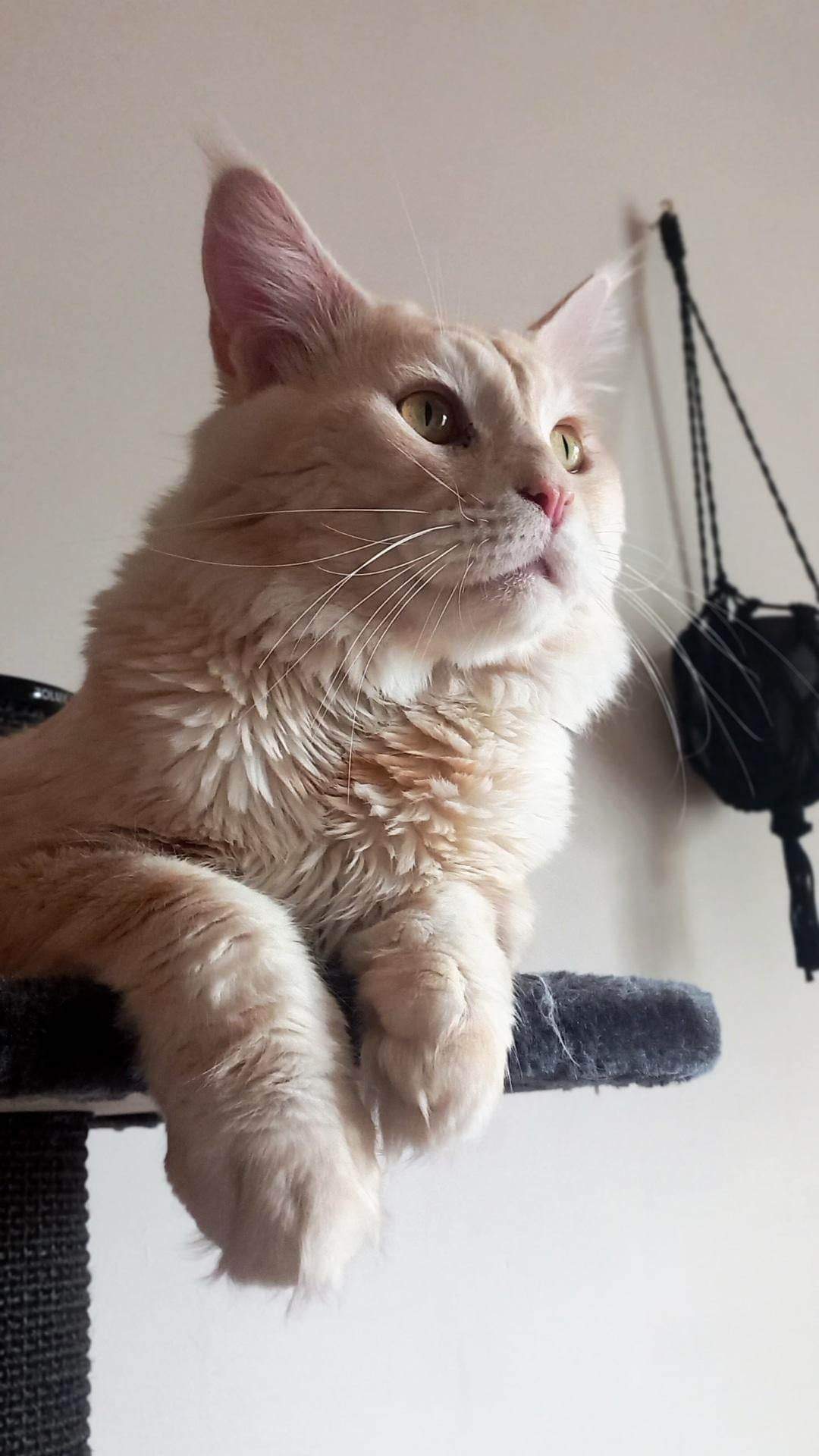 Fotografie komunity číslo 292