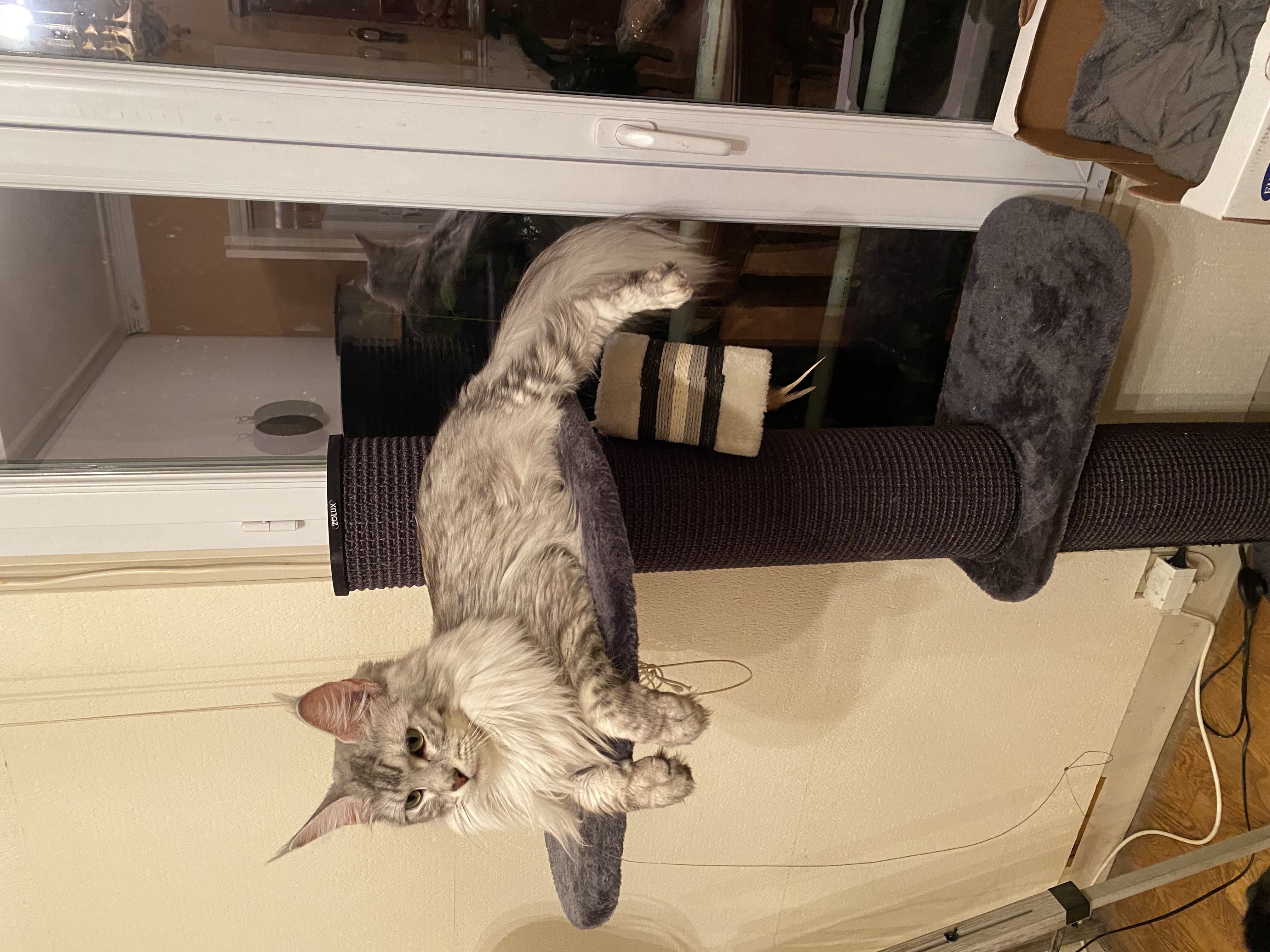 Fotografie komunity číslo 293