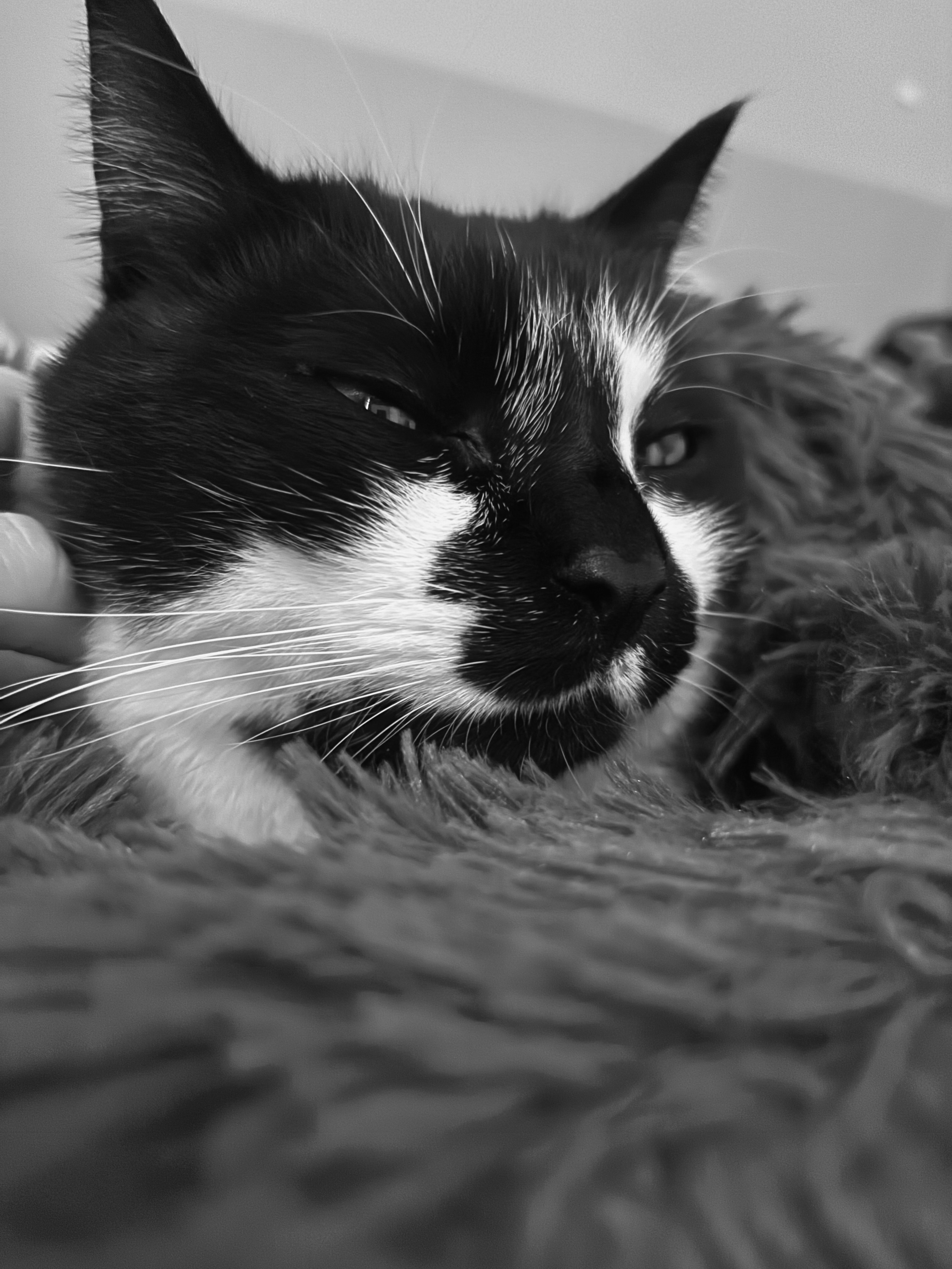 Fotografie komunity číslo 294