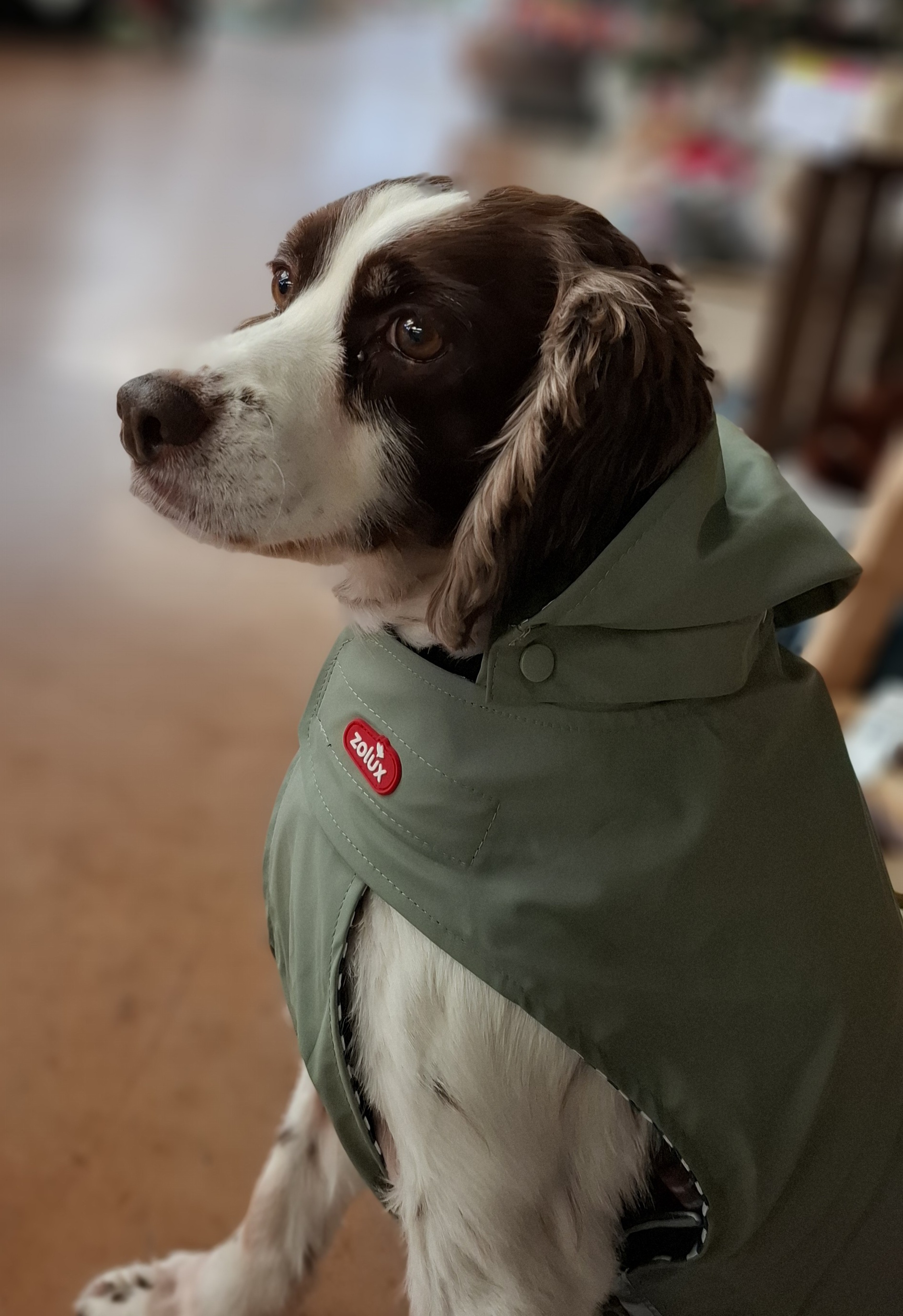 Fotografie komunity číslo 307